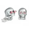 Eye Popping Skulls in Silver Satin Finish
