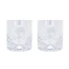 Pair of Glass Tumblers With Engraved Skull