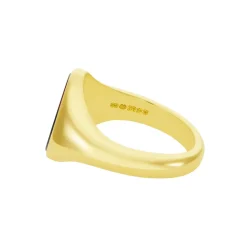 Yellow Gold Stone Set Bloodstone Signet Ring