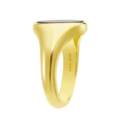 Yellow Gold Stone Set Bloodstone Signet Ring